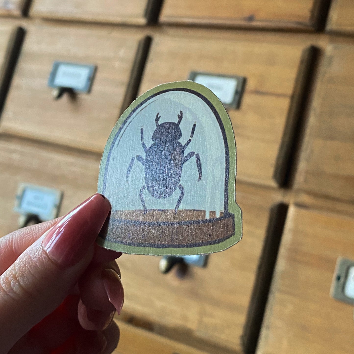 Beetle Jar, Die Cut Sticker