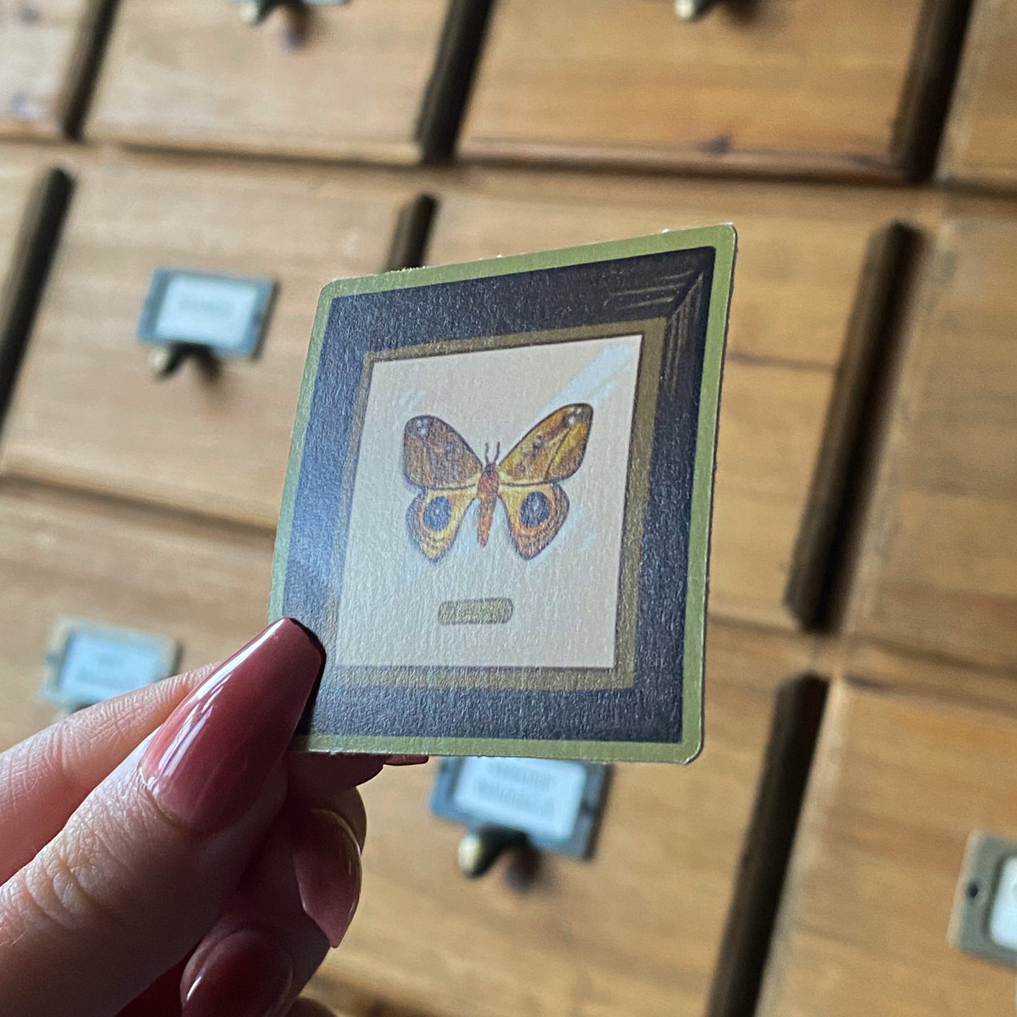 Yellow Butterfly Frame, Die Cut Sticker