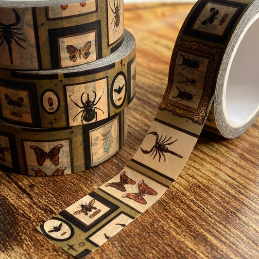 Bug Wall Washi Tape