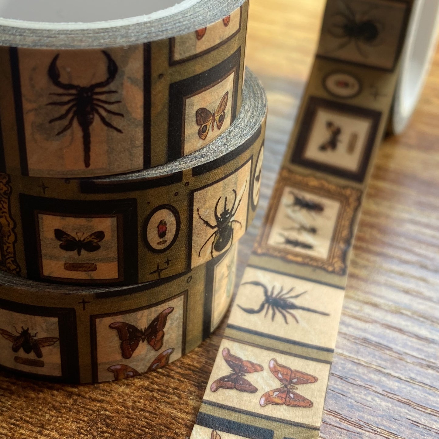 Bug Wall Washi Tape